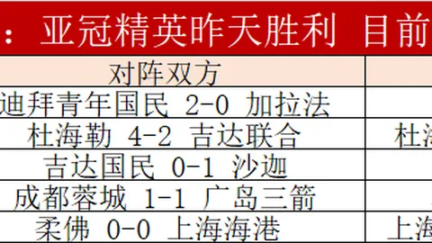 贝林厄姆崭露头角，罗伊斯盛赞其勇敢拼搏
